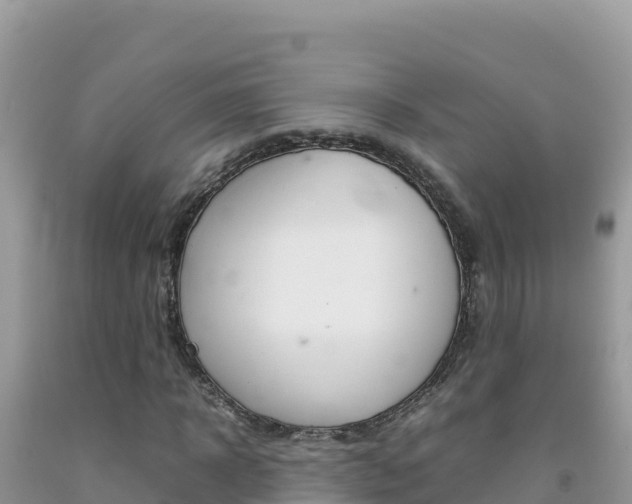 X0000092230918200709140938