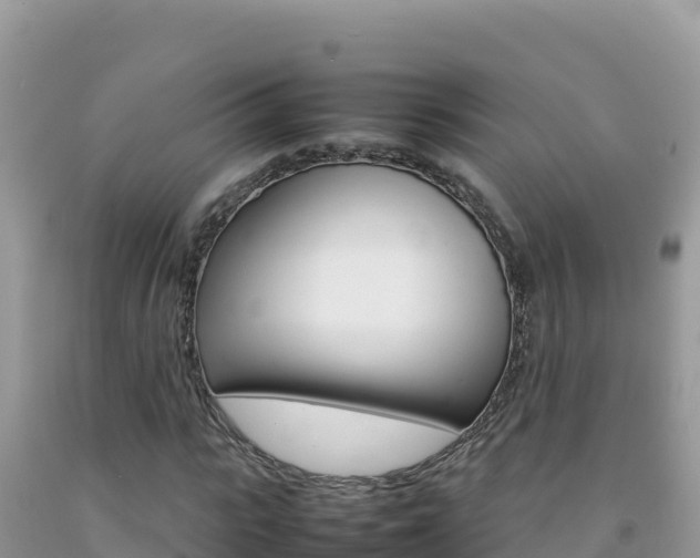 X0000092230919200709140938
