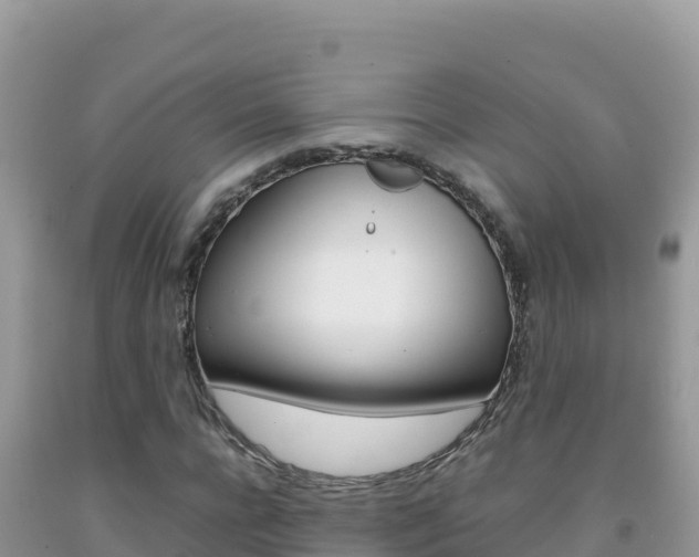 X0000092230920200709140938