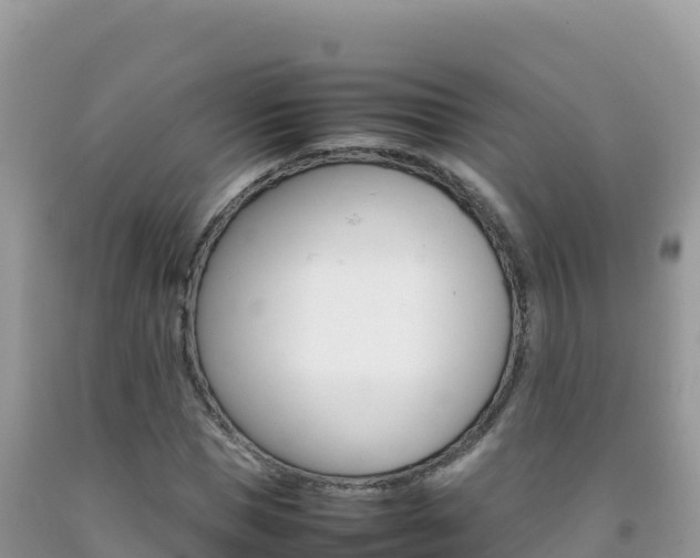 X0000092230921200709140938