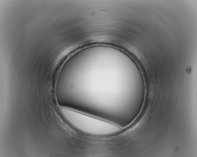 X0000092230922200709140938