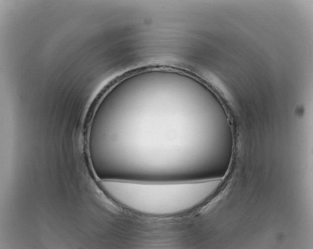 X0000092230924200709140939