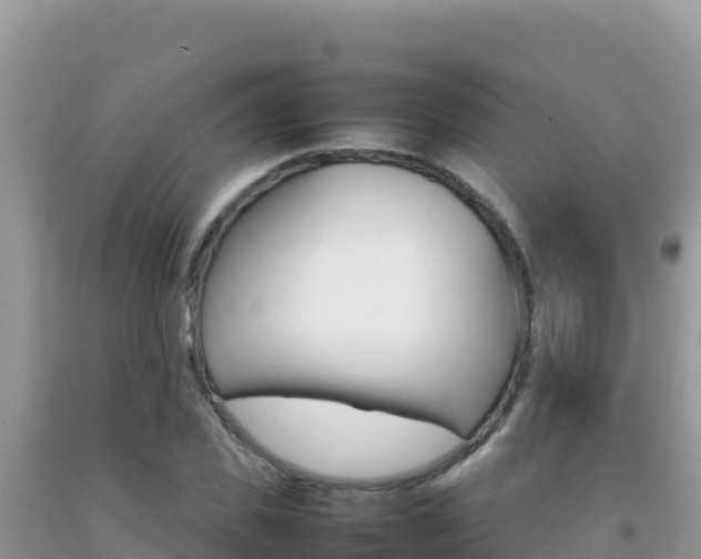 X0000092230925200709140939