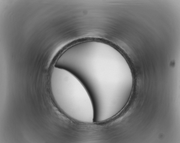 X0000092230926200709140939