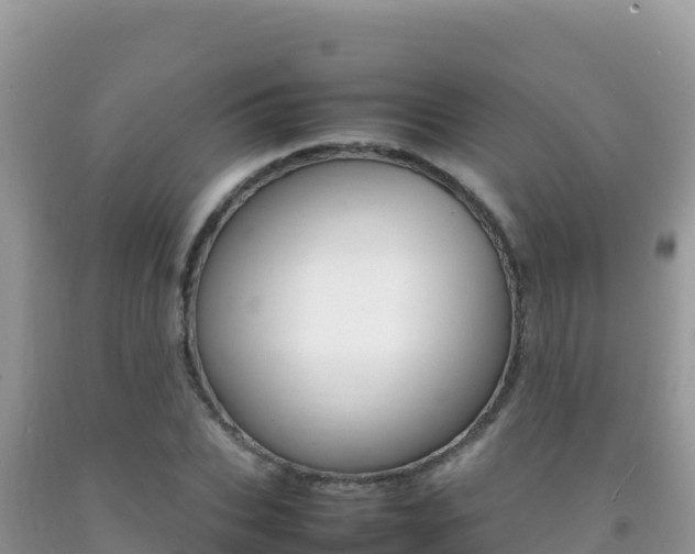 X0000092230927200709140939