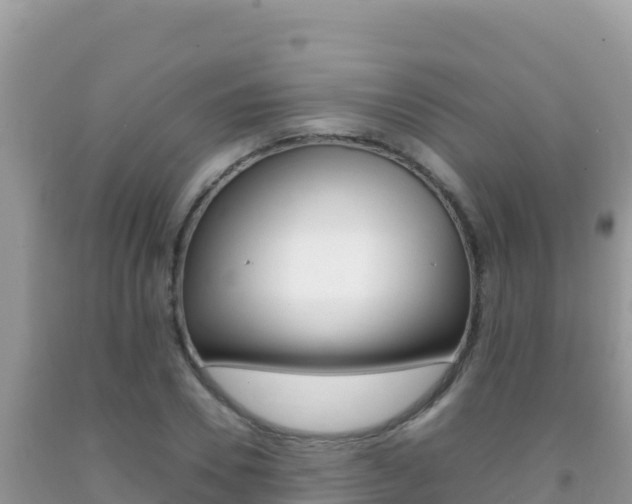 X0000092230930200709140939