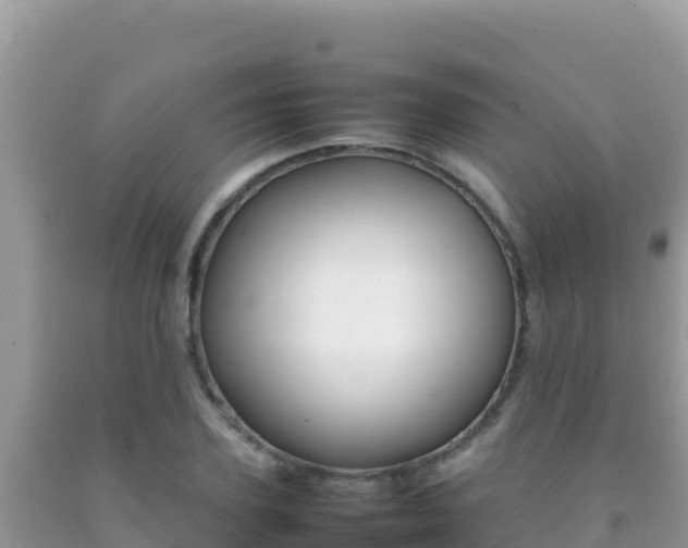 X0000092230931200709140939