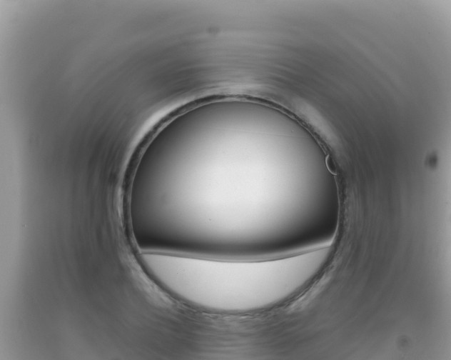 X0000092230932200709140939