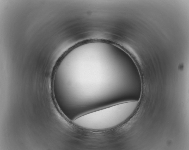 X0000092230935200709140939