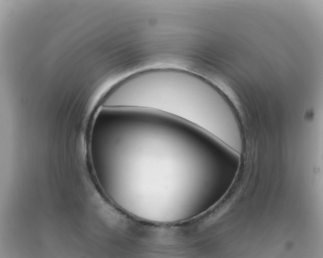 X0000092230936200709140939