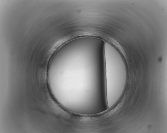 X0000092230938200709140939