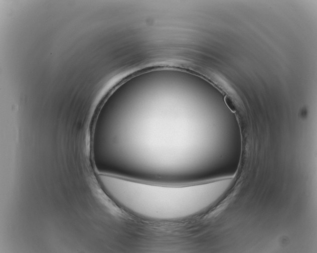 X0000092230940200709140939