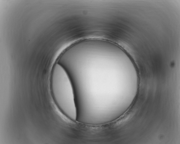 X0000092230941200709140939
