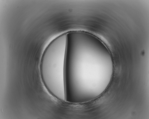 X0000092230943200709140939