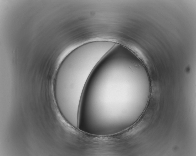 X0000092230952200709140939