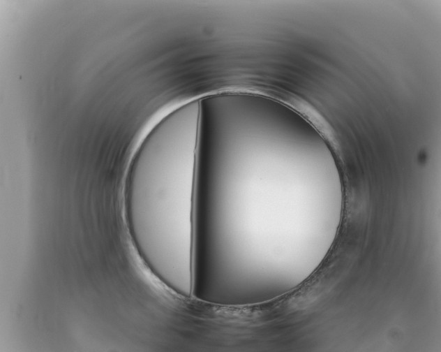 X0000092230955200709140939