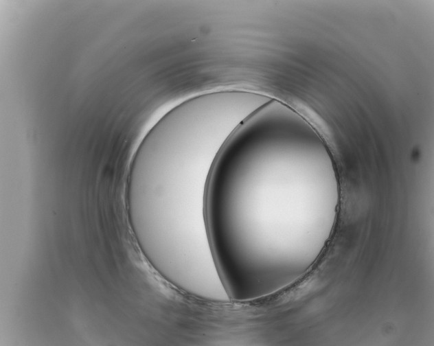 X0000092230956200709140939