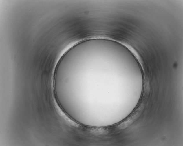 X0000092230957200709140939