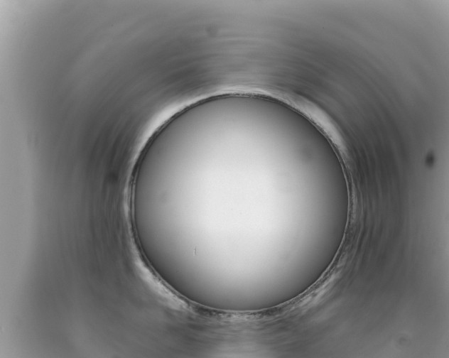 X0000092230958200709140939