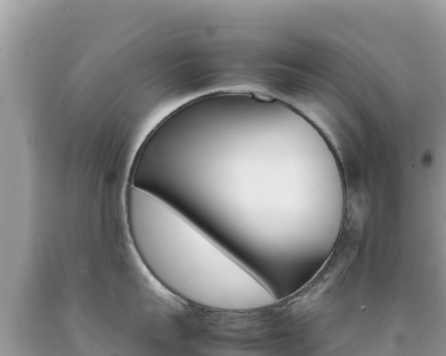 X0000092230959200709140939