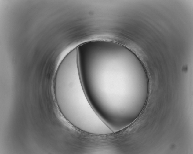 X0000092230960200709140939