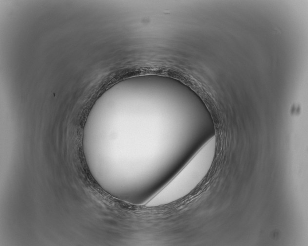 X0000092230961200709140938