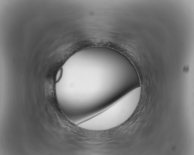 X0000092230963200709140938