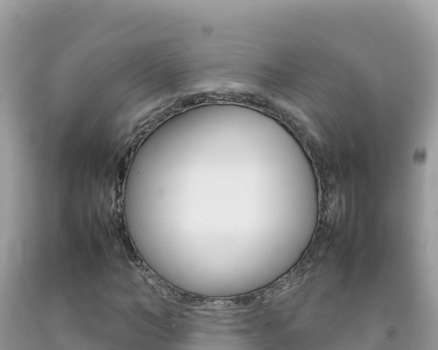 X0000092230966200709140938