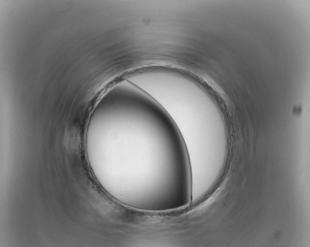 X0000092230969200709140938