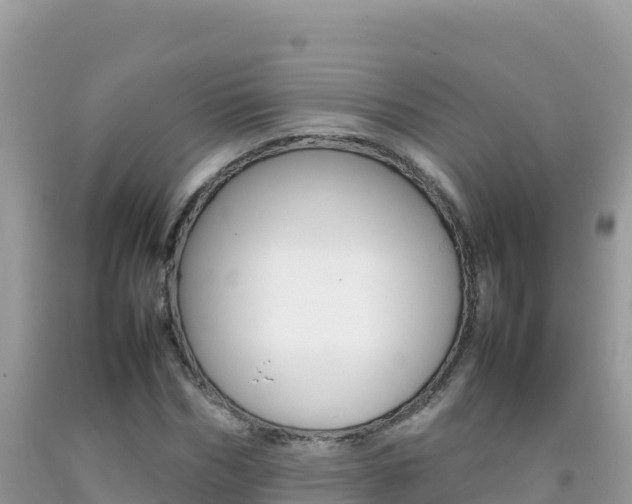 X0000092230970200709140938