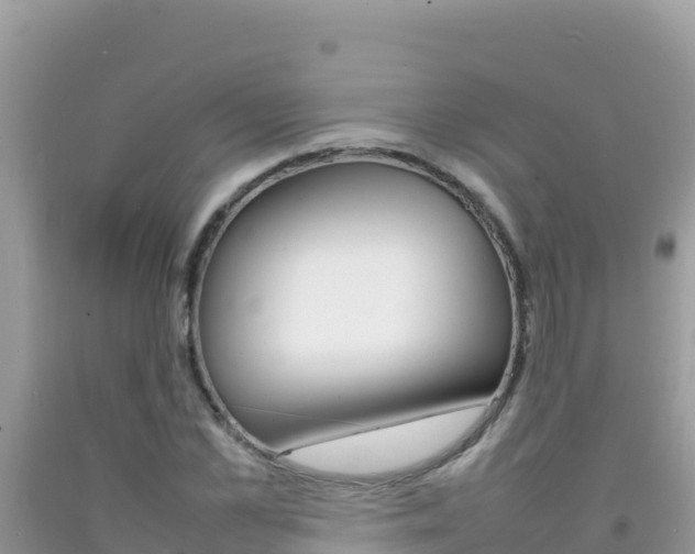 X0000092230973200709140938
