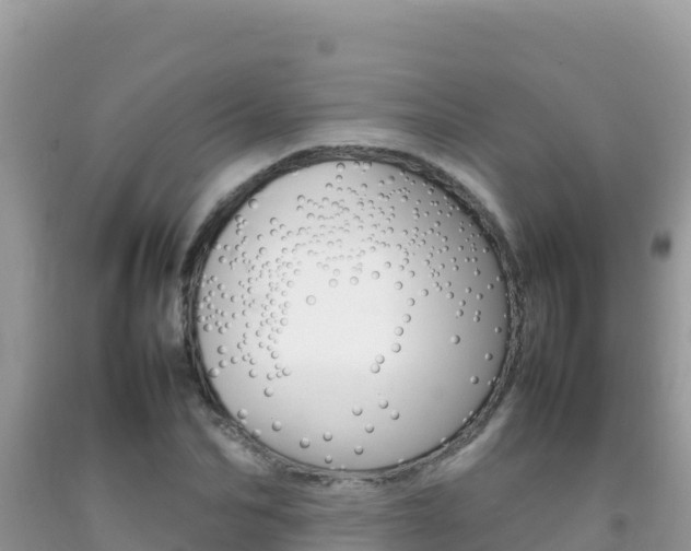 X0000092230974200709140938