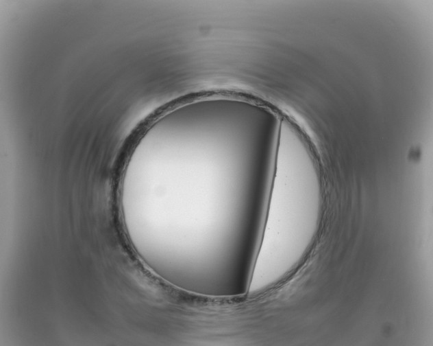 X0000092230975200709140938