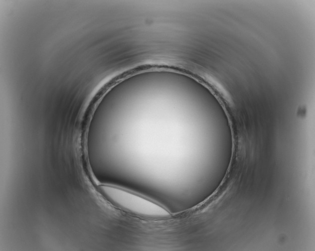 X0000092230976200709140938
