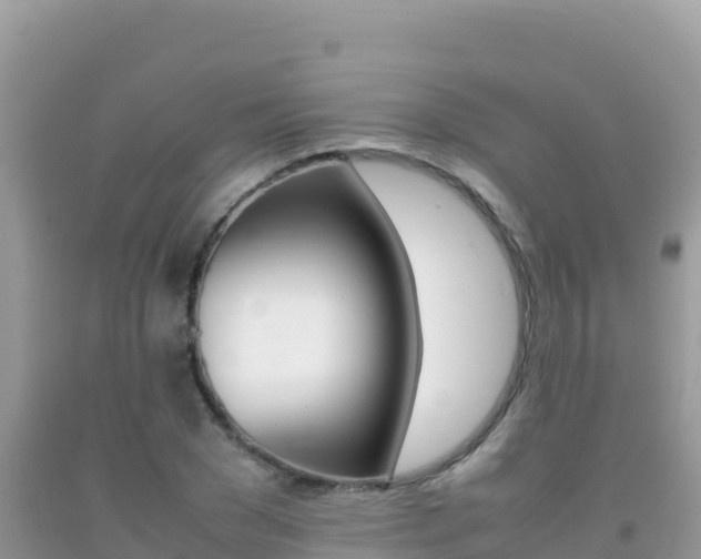 X0000092230977200709140938