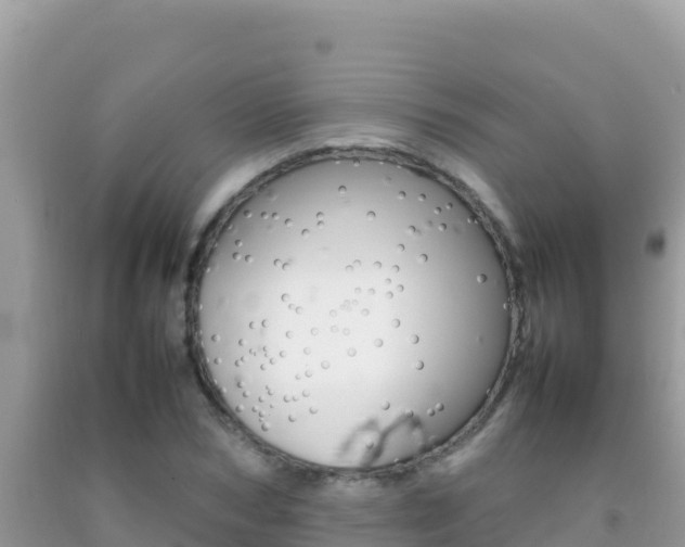 X0000092230978200709140938