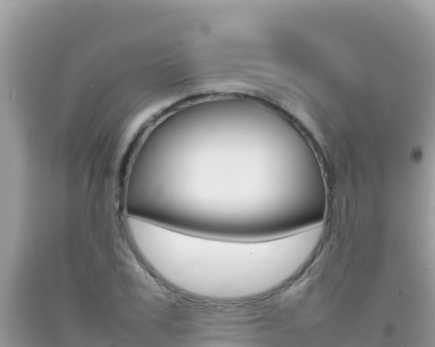 X0000092230979200709140938