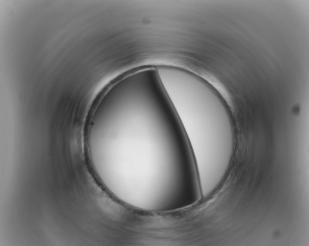 X0000092230980200709140938