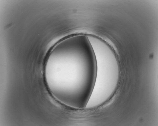 X0000092230981200709140938