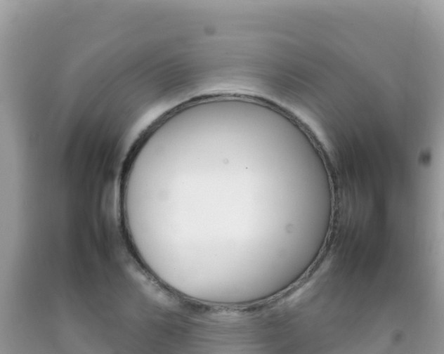 X0000092230982200709140938