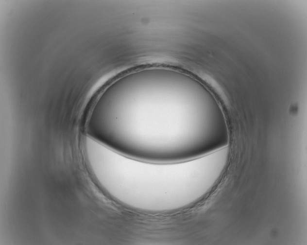 X0000092230983200709140938
