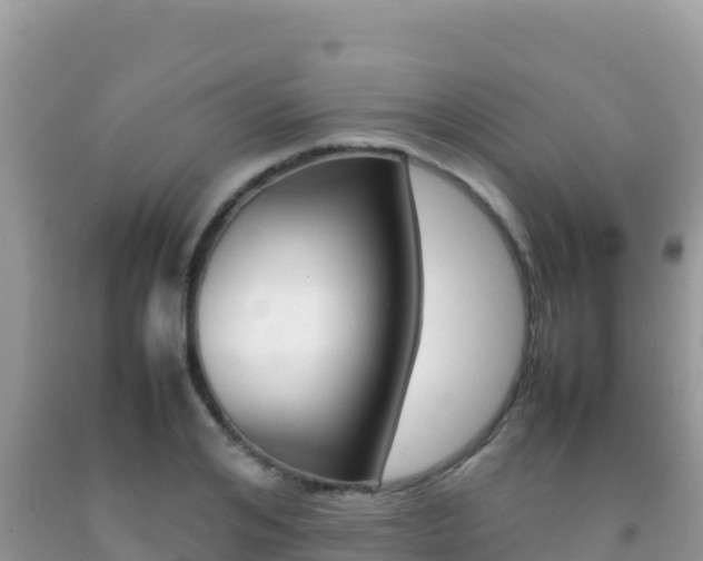 X0000092230984200709140938