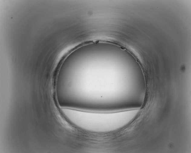 X0000092230987200709140938