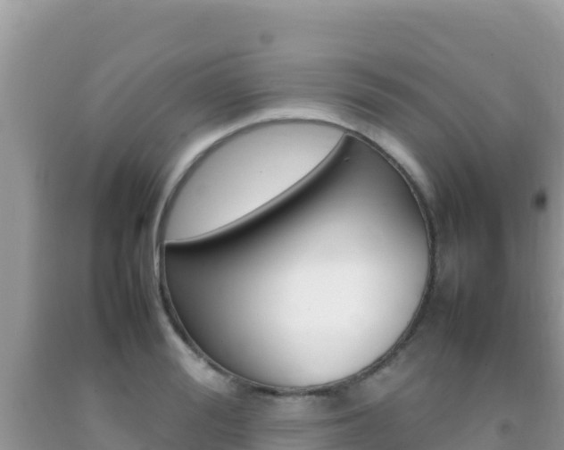 X0000092230988200709140938