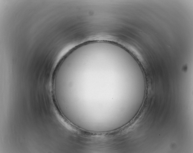 X0000092230990200709140938