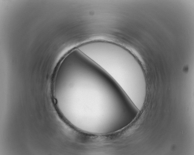 X0000092230991200709140938