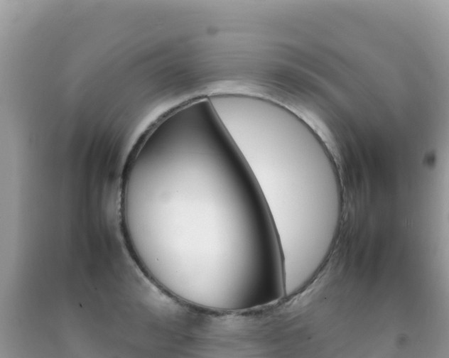 X0000092230992200709140938
