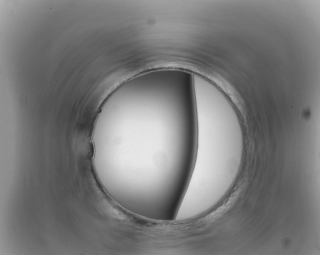 X0000092230993200709140938