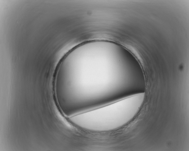 X0000092230995200709140938