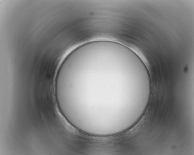 X0000092230996200709140938